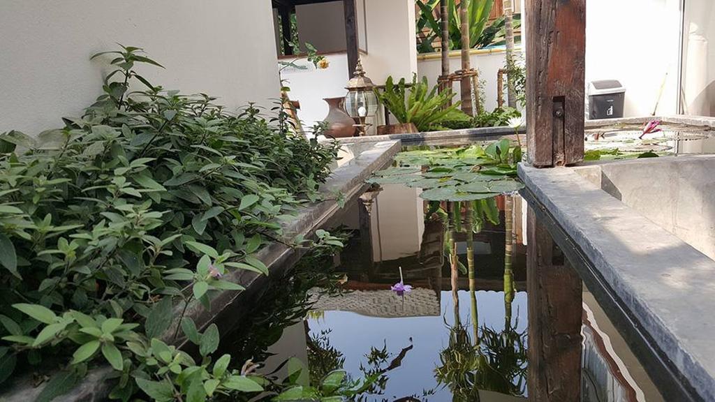 The Home Chiangmai Luxury Guesthouse 清邁 外观 照片