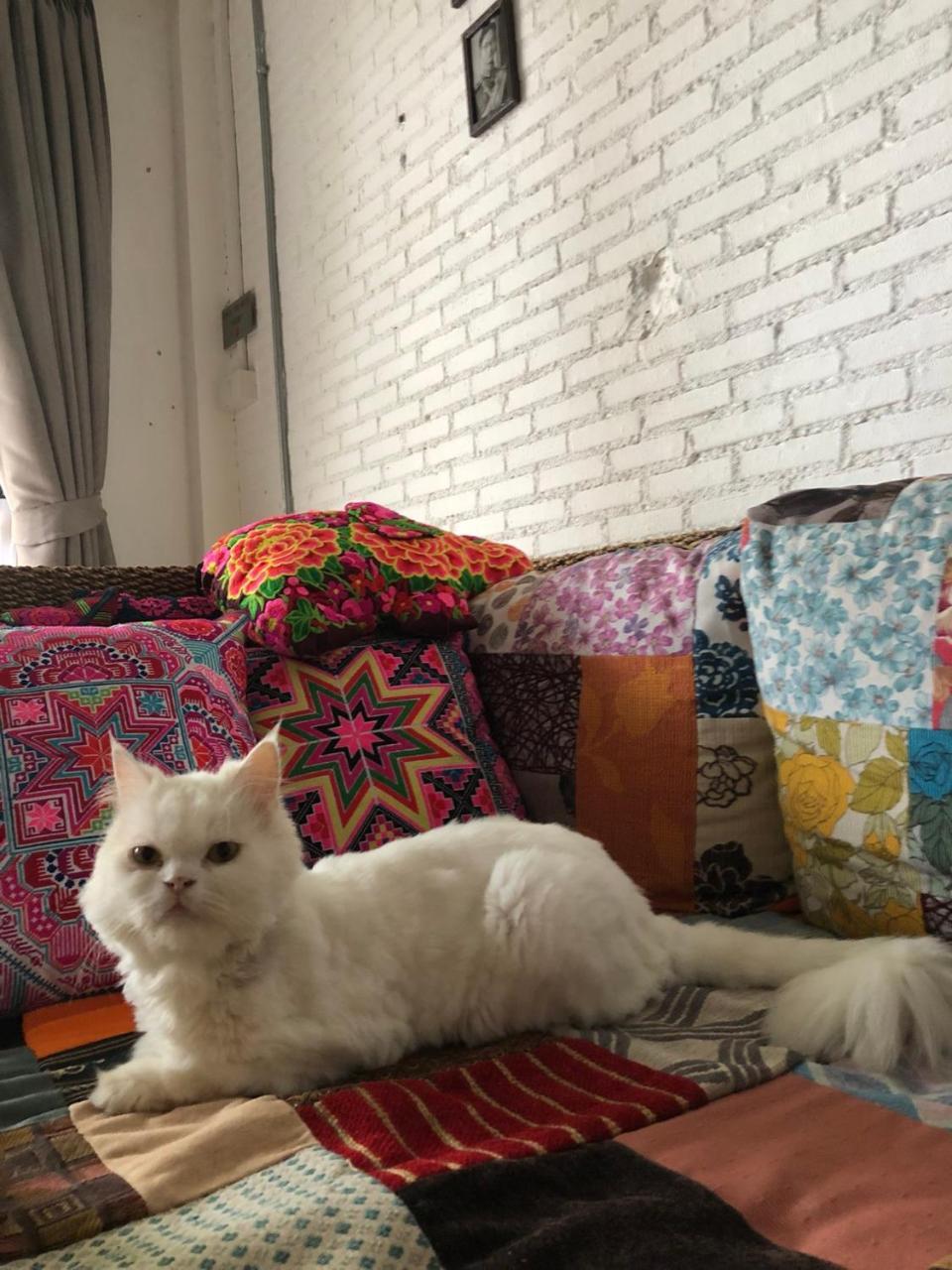 The Home Chiangmai Luxury Guesthouse 清邁 外观 照片